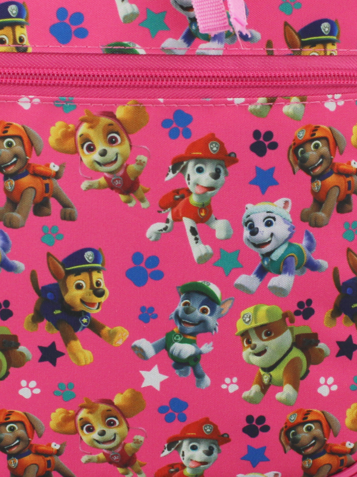 Paw patrol discount toy box girl